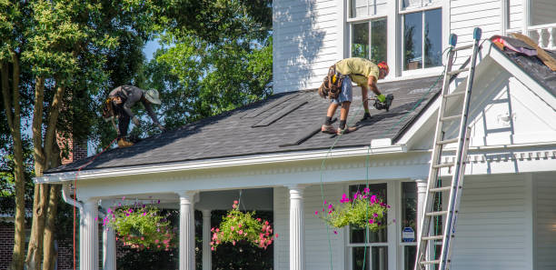 Best Roof Moss and Algae Removal  in Parkwood, CA